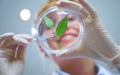 Therapeutic Formulations — Where Nature Meets Science